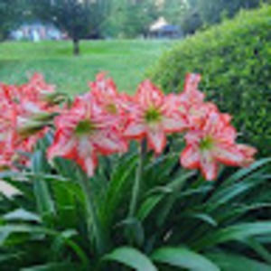 Meet your Posher, Kendra